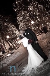 Wedding Photographs Rice Park, St Paul, MN