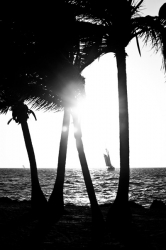 Key West Sunset