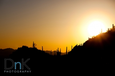 sunset in the desert