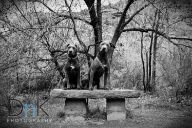 moses and maizy