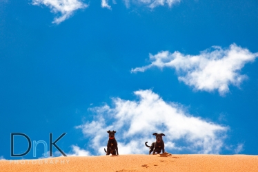 moses and maizy at coral sand dunes state park