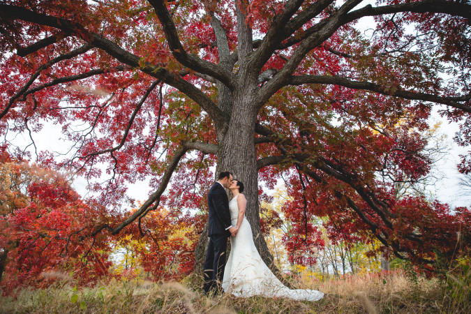 DnK Photography Wedding Photography