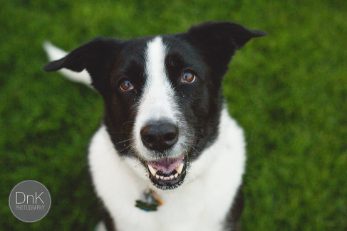 Chaska Family Photographer
