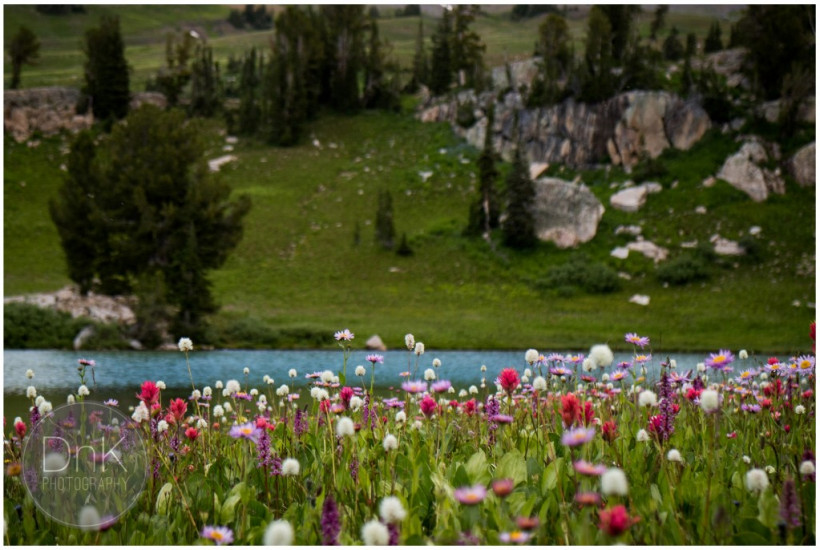 Backpacking Grand Teton National Park with the Canon Eos M3