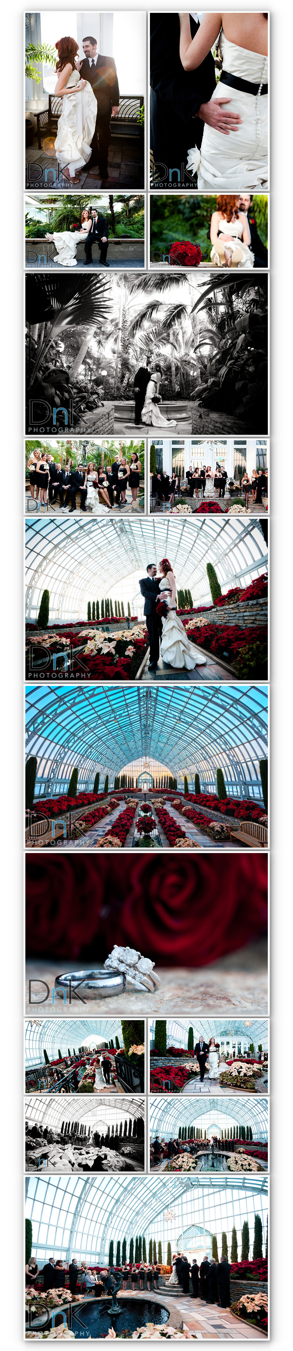 Como Park conservatory photographs