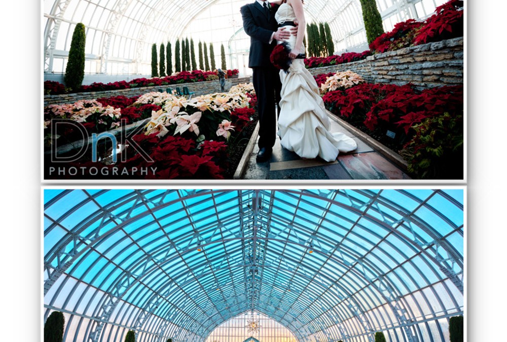 Como Park Conservatory wedding – Courtney and Nate