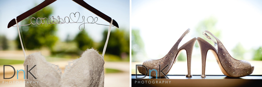 Joe and Carissa’s Windows Over Minnesota Wedding!