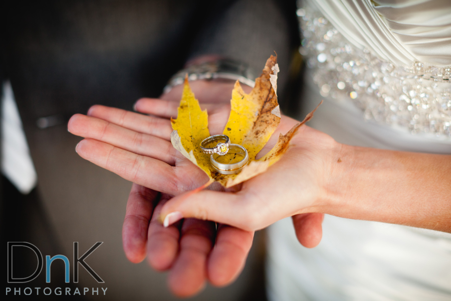 Ring Shot Yellow Leaf