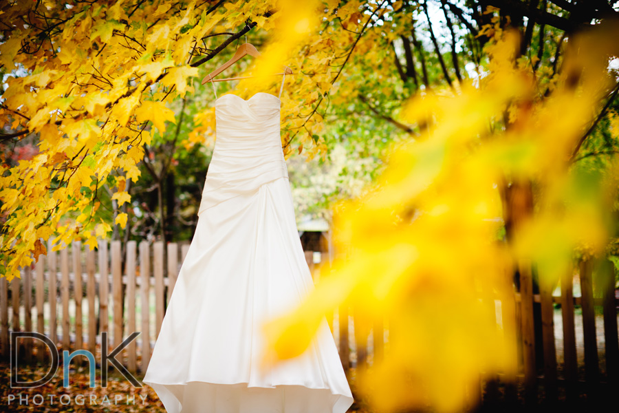 Fall Wedding Dress Picture