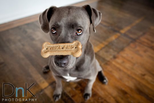 Usually we don’t post much personal stuff….