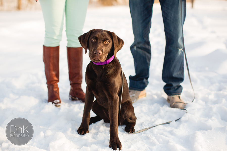 Winter Engagement Session with Kevin and Allison!