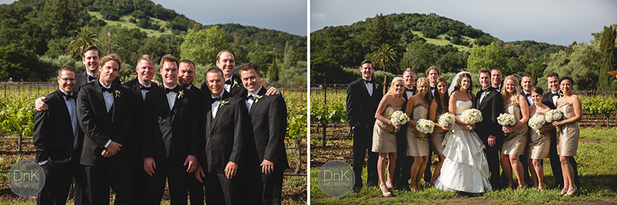 11-Sebastiani Winery Vineyard Wedding Photography