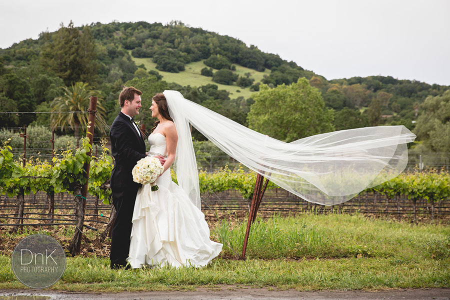 14-Sebastiani Winery Vineyard Wedding Photography