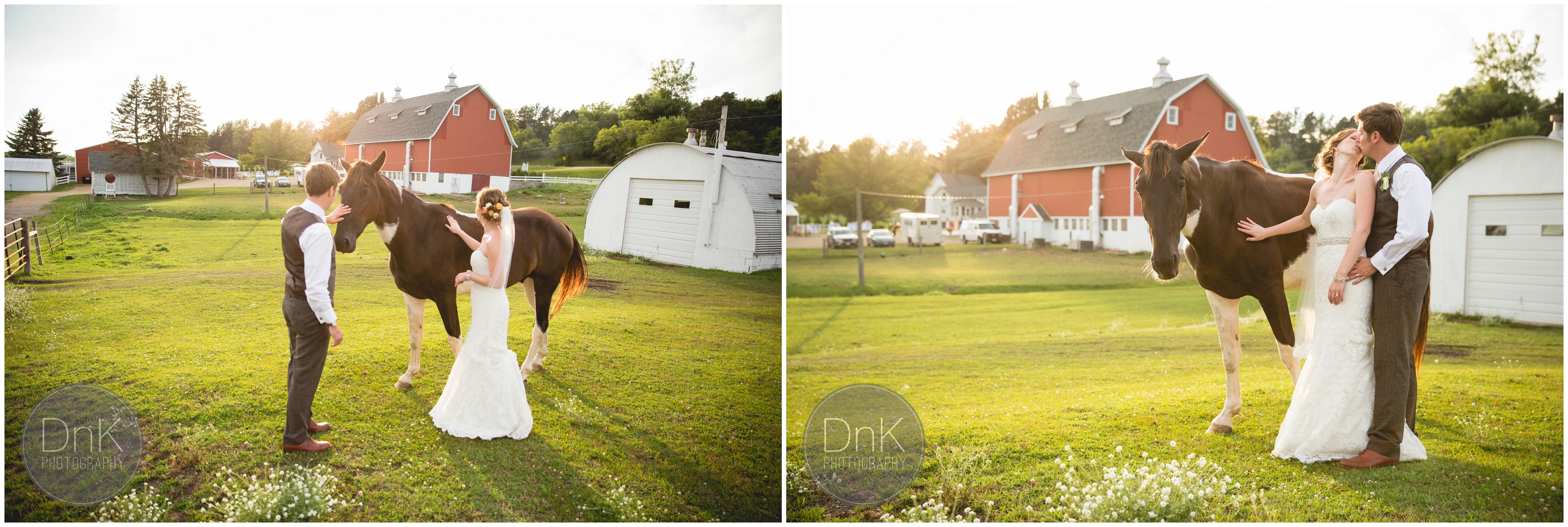44 - Dellwood Barn Wedding Pictures with a Horse