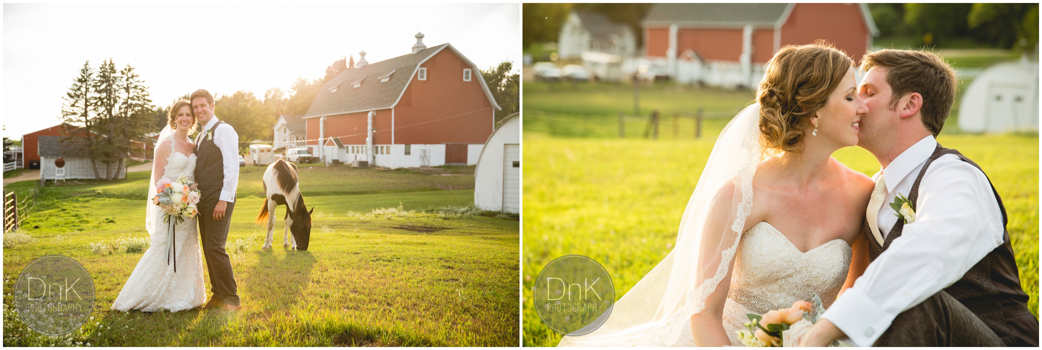 46 - Dellwood Barn Wedding Pictures with a Horse