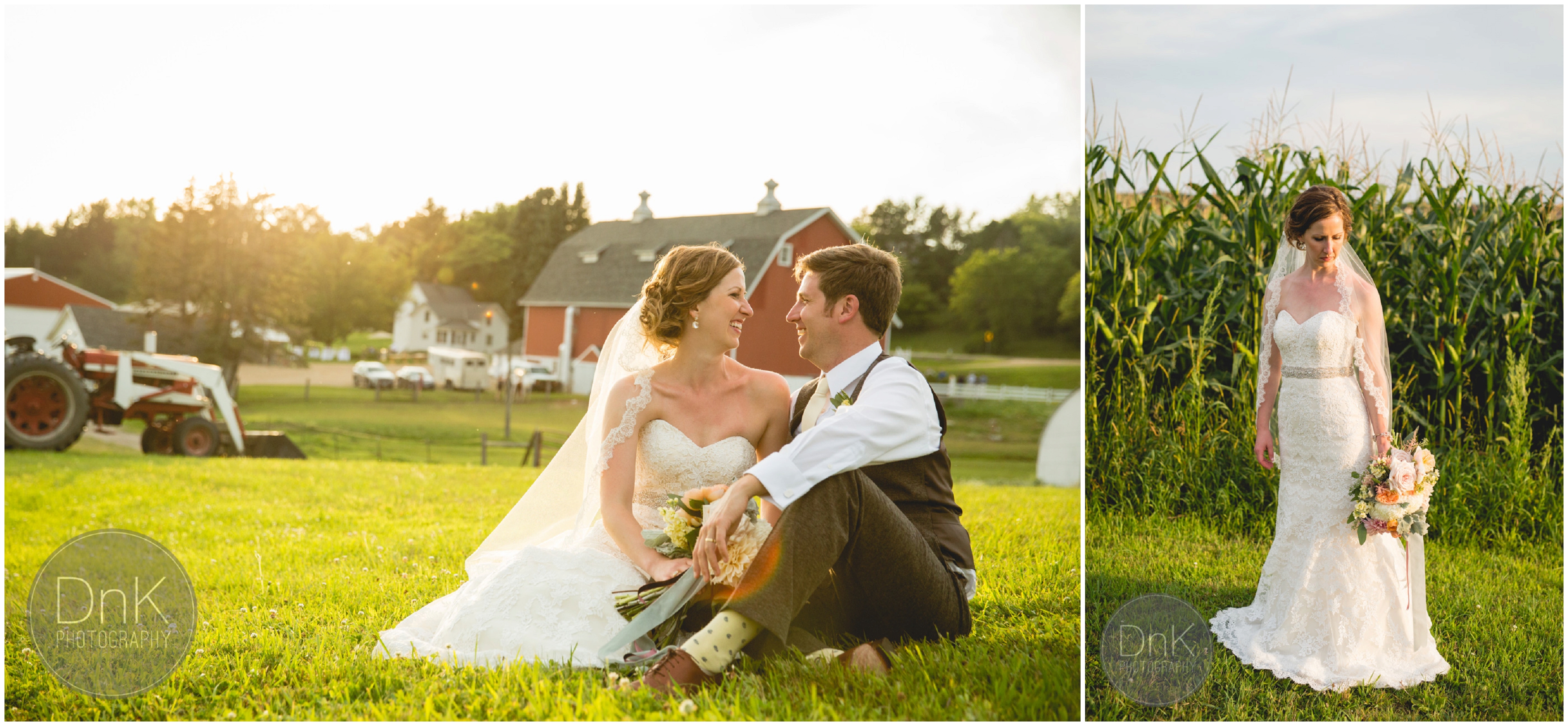 47 - Dellwood Barn Wedding Pictures with a Horse