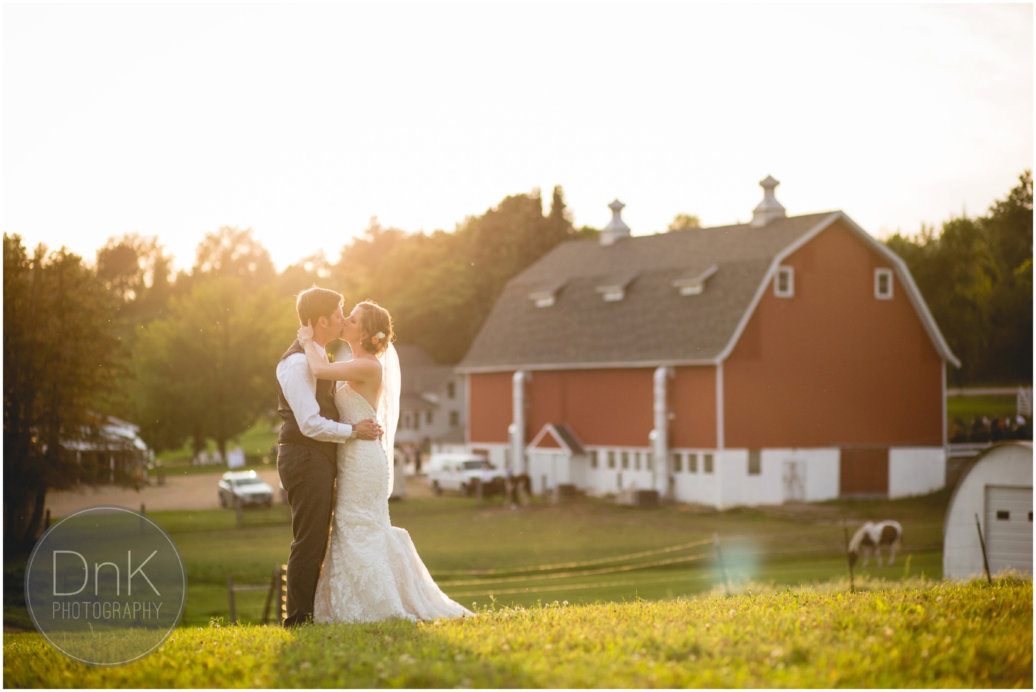 48 - Dellwood Barn Wedding Pictures with a Horse